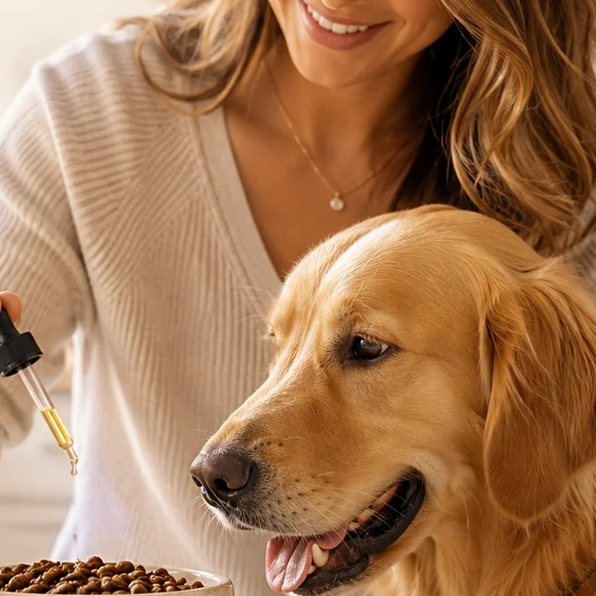 Dog resting beside their owner
