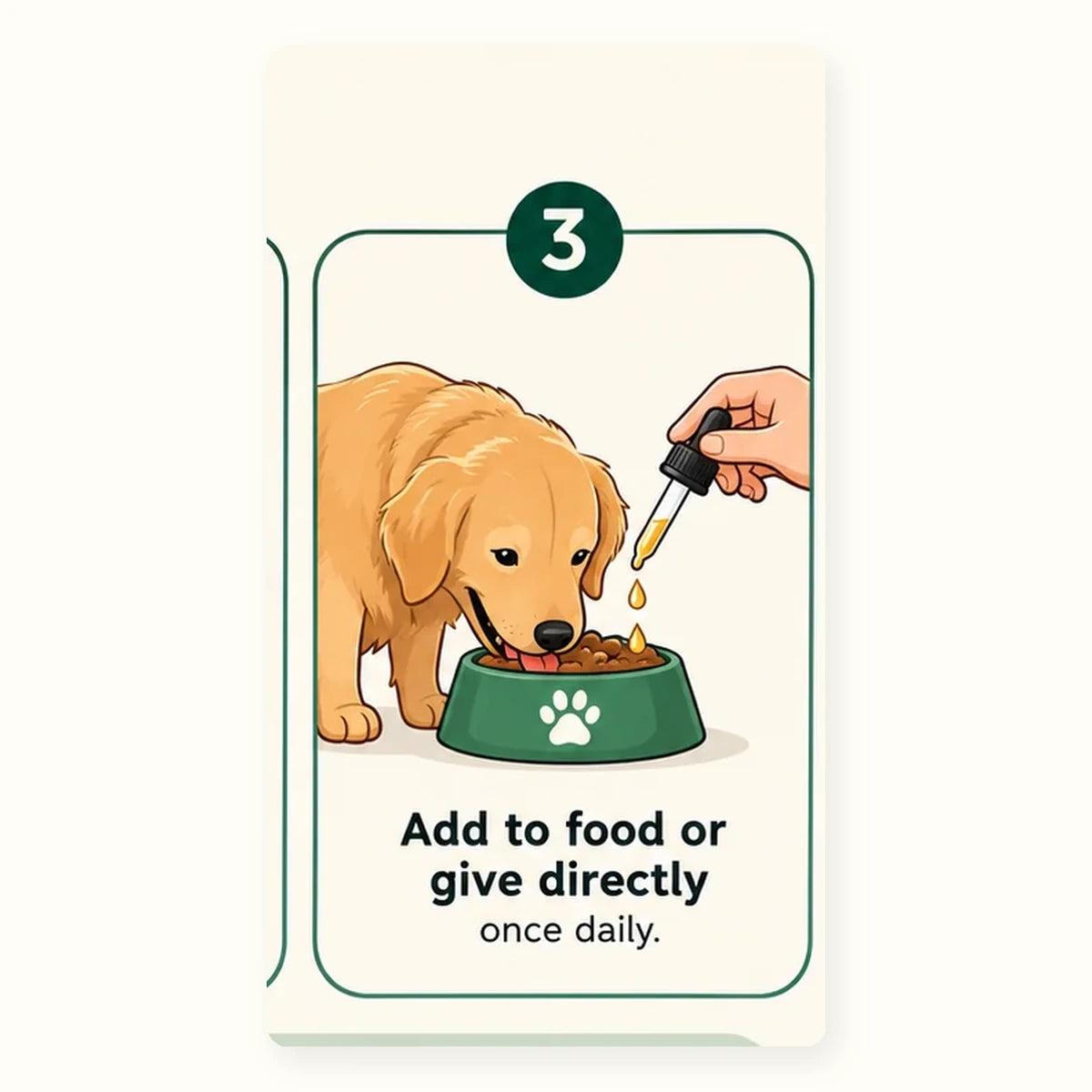 Dog eating